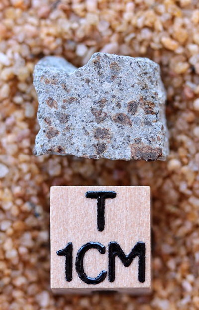 tm1264-B.jpg