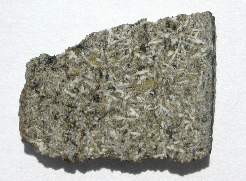 nwa4734 5.jpg