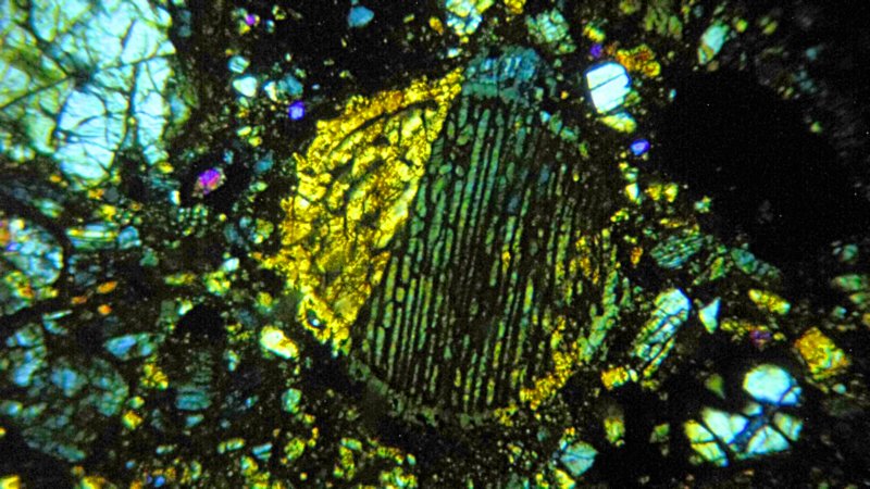 nwa0787f2.jpg