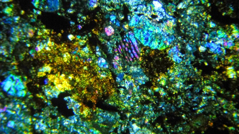 nwa0864f.jpg
