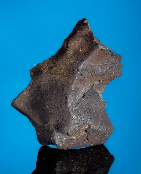MURCHISON -CM2(4).jpg