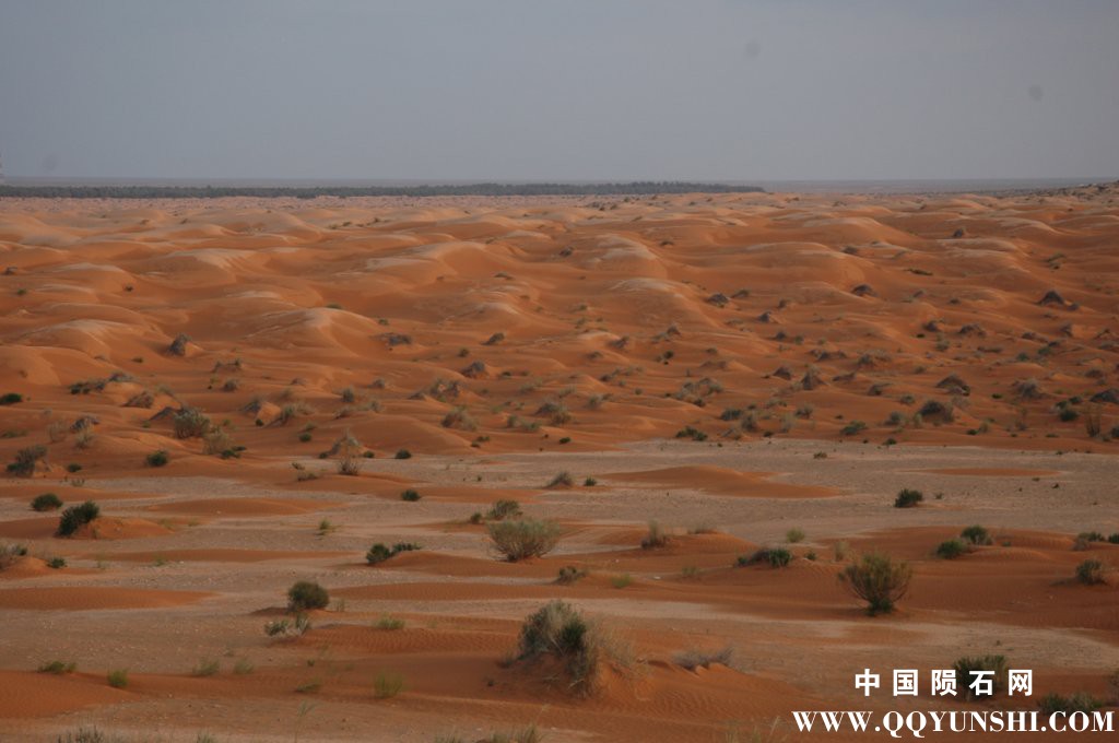 dsc_3575.jpg