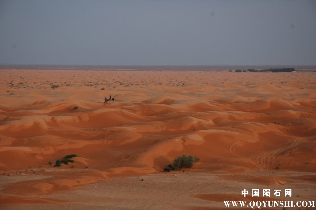 dsc_3584.jpg