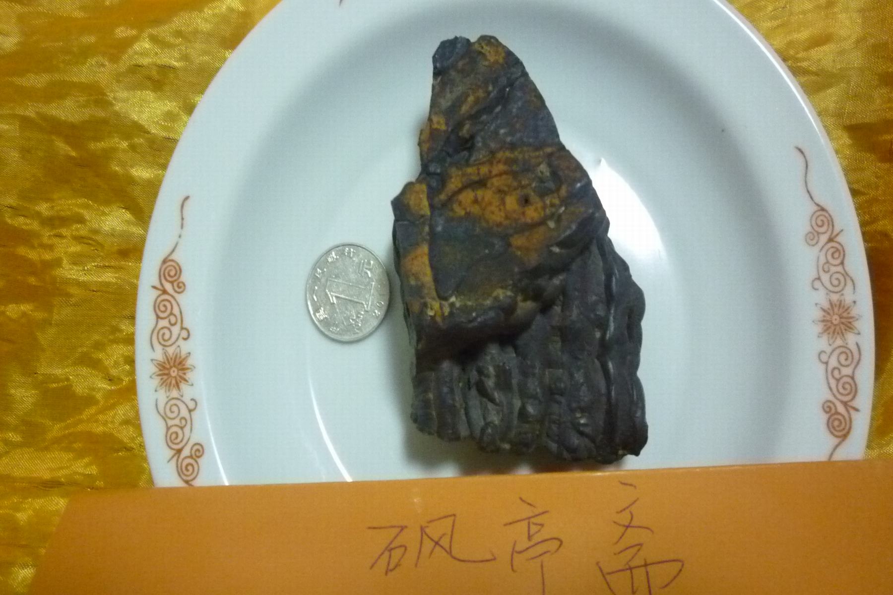 P1060859.JPG