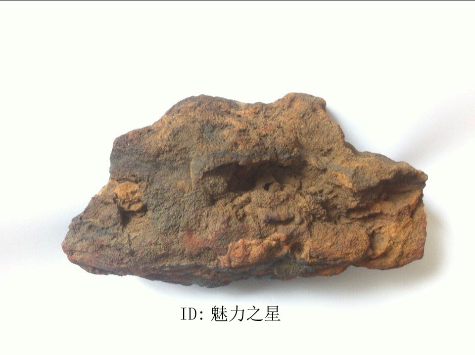 鱼形
