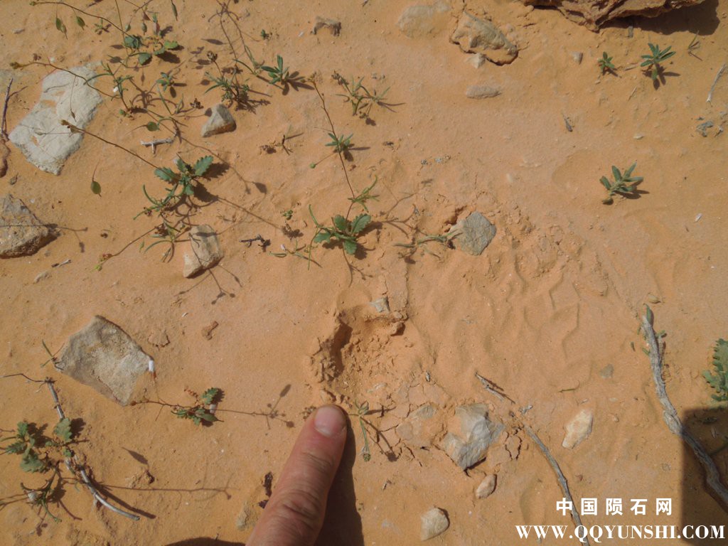 dscn2346.jpg
