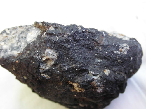 CIMG5309_副本.jpg