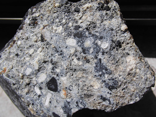 CIMG5350_副本.jpg