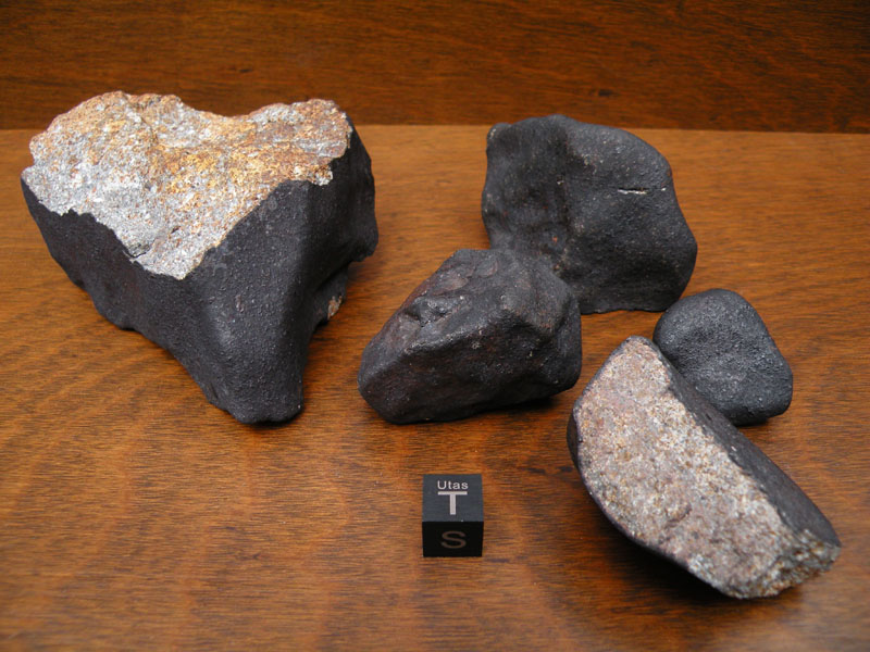 DSCN6387.jpg