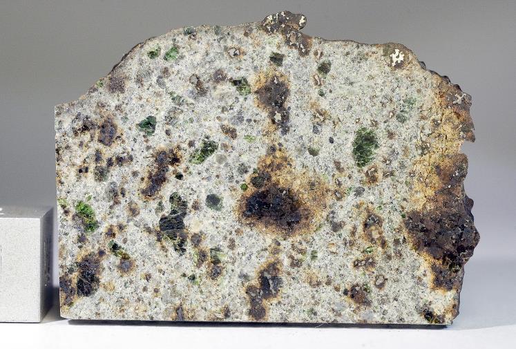 NWA 8118-40 x 30 x 3 mm.   Lodranite.jpg