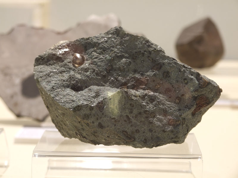 DSCF6418.jpg