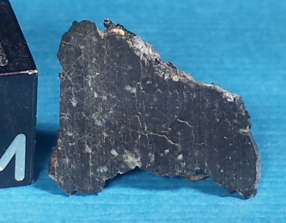 NWA 6355 2.jpg