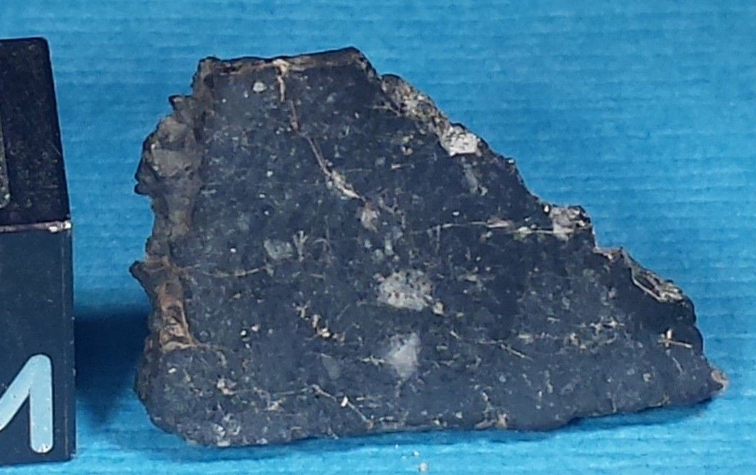 NWA 6355 4.jpg