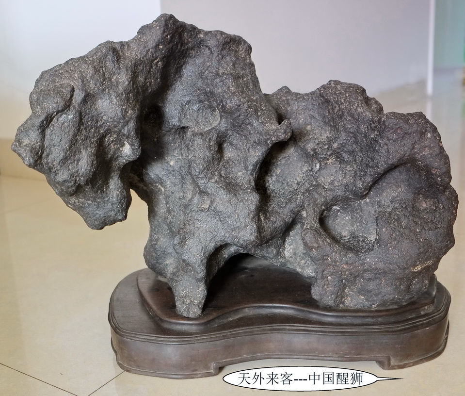 天外来客-中国醒狮（石铁陨石）M280.jpg