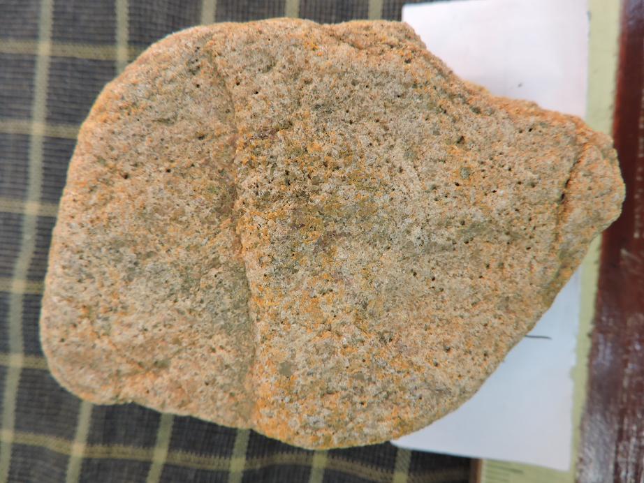DSCN0838.JPG
