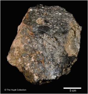 science-figure1-2a.jpg