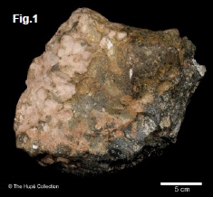 science-figure4-1a.jpg