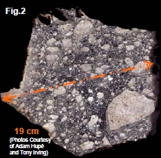 science-figure4-2a.jpg