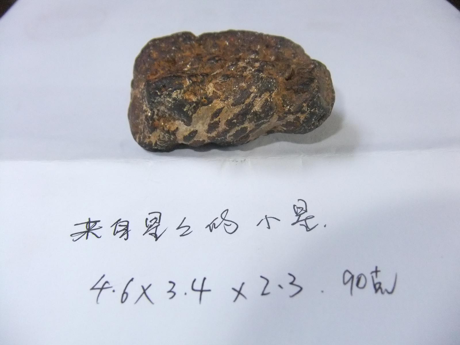 DSCF0597.JPG