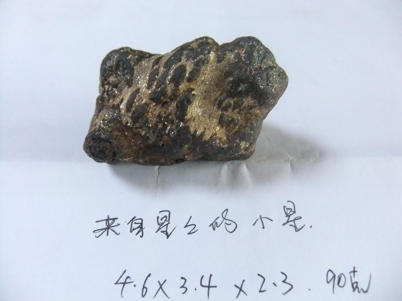 DSCF0600.JPG