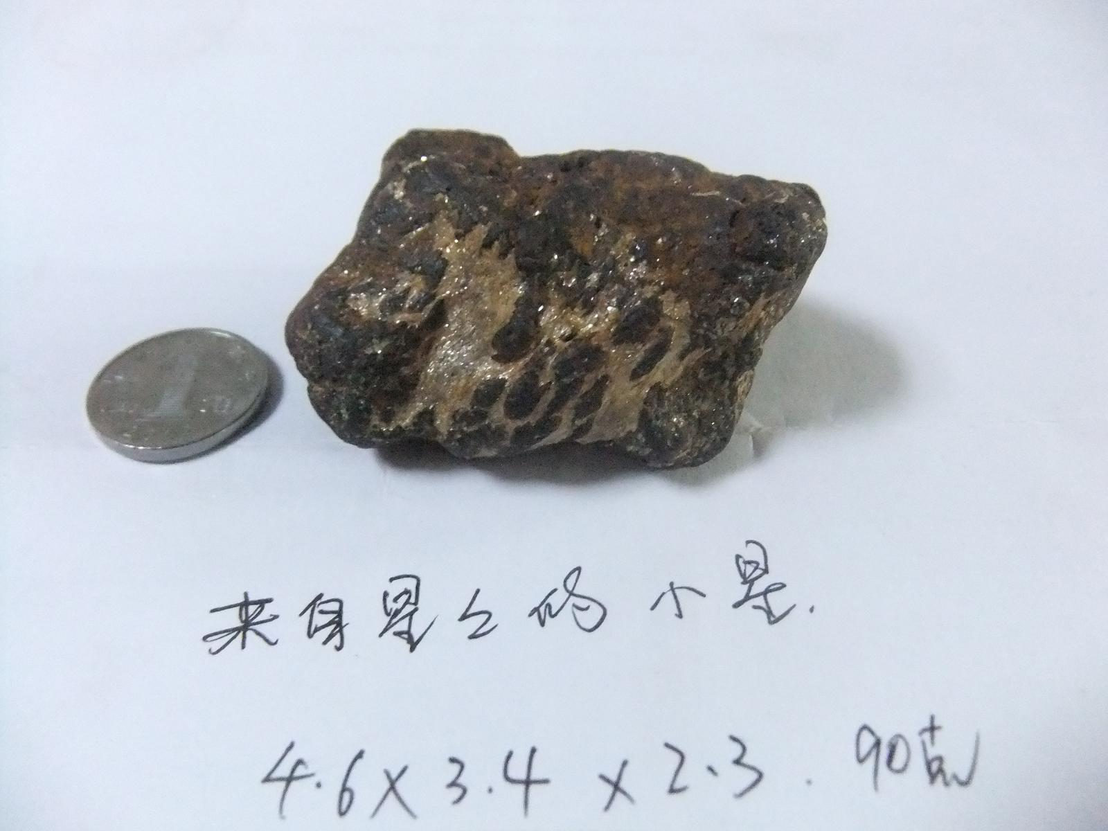 DSCF0596.JPG