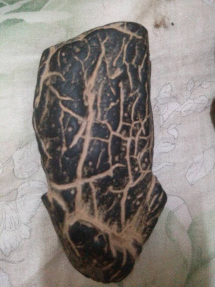 QQ图片20141103190646.jpg