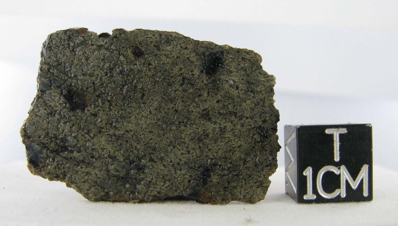 martian meteorite - NWA 2975 3.jpg