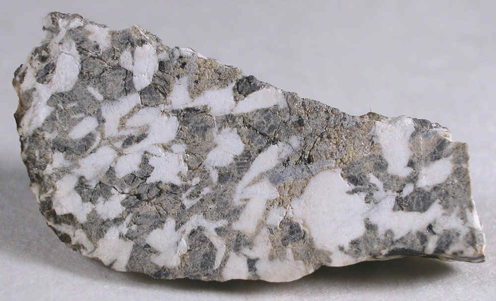 dscn7600.jpg