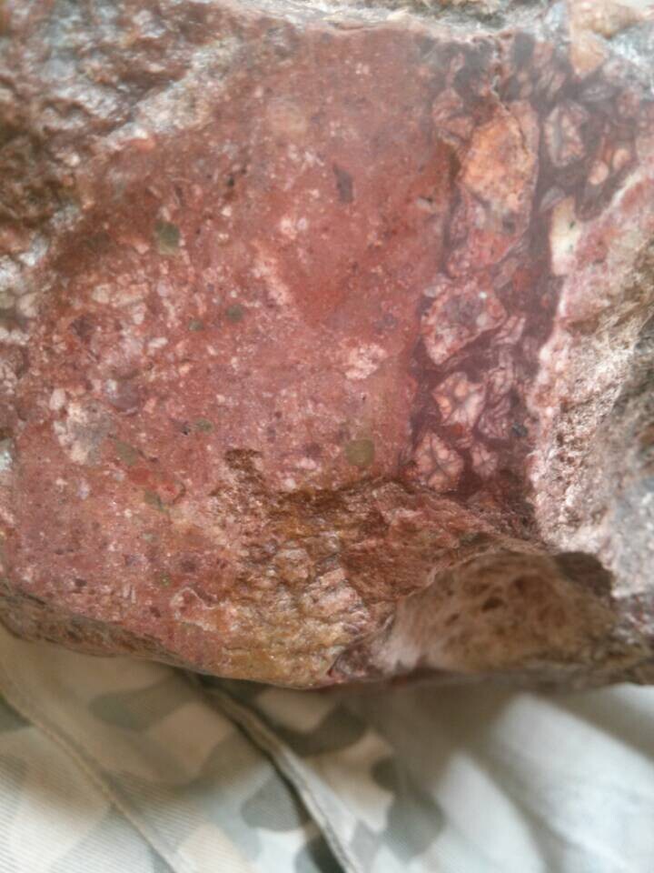 QQ图片20141109091207.jpg