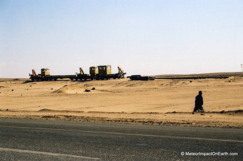 Egypte_008_Momo fait pipi au bord de la route.jpg