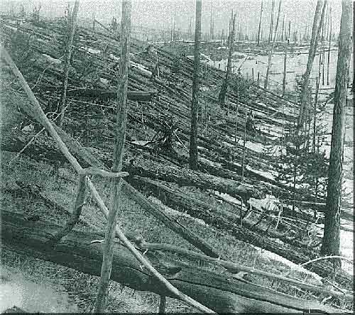 tunguska3.jpg