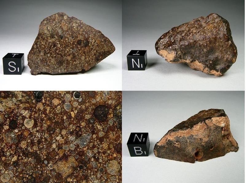 57.2 gram end-cut.   LLL 3.5.jpg