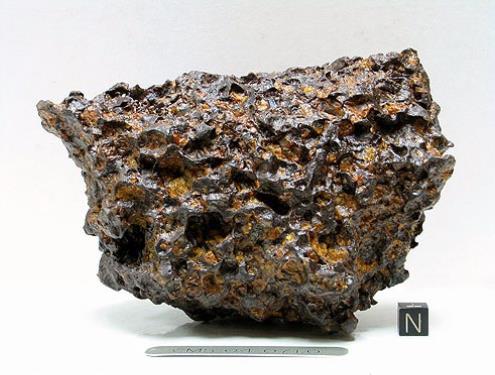 CMS 04071.jpg