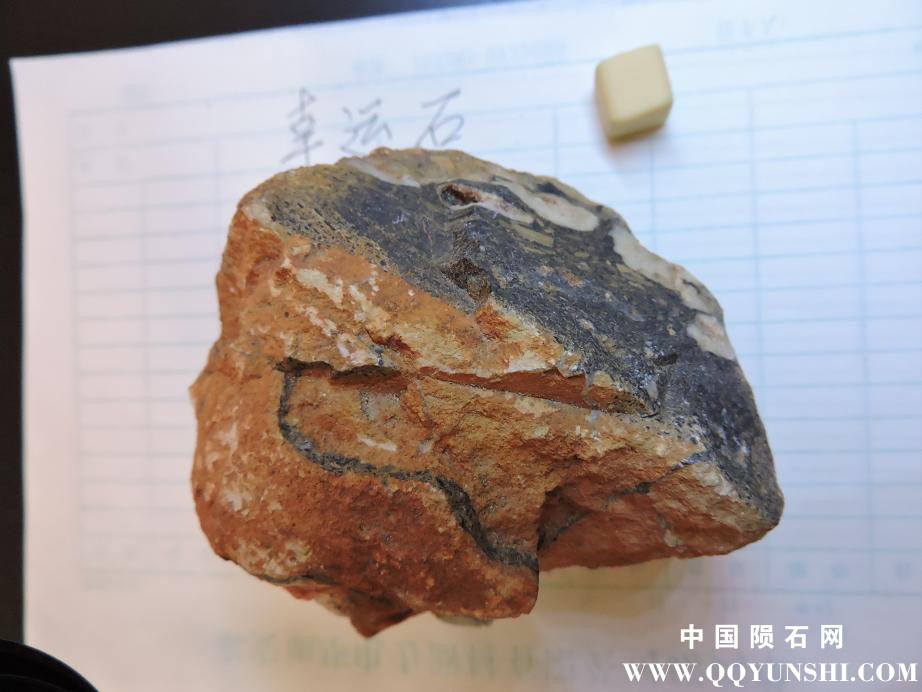 DSCN1077.JPG