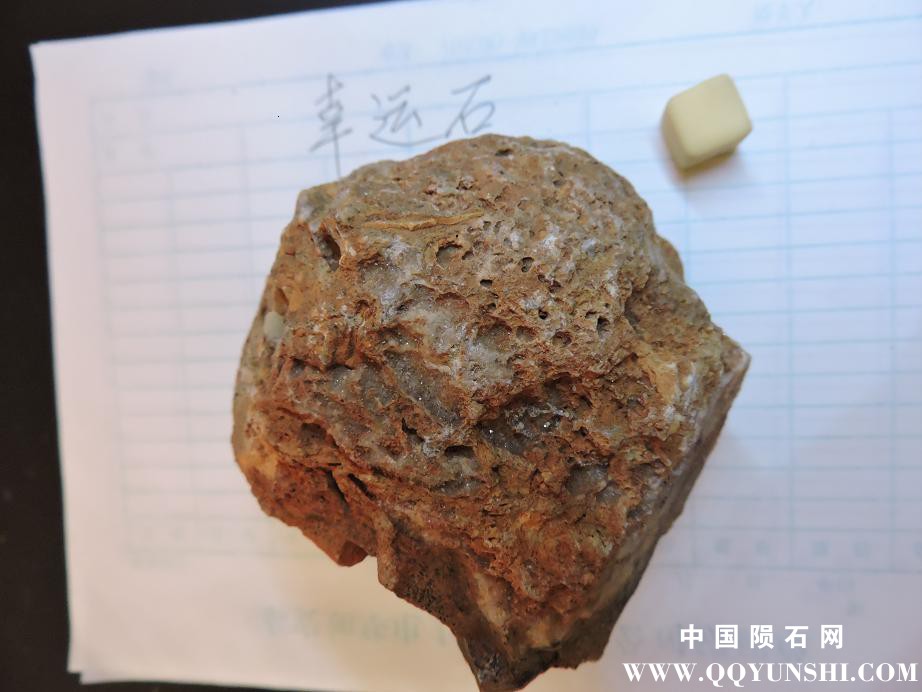 DSCN1078.JPG