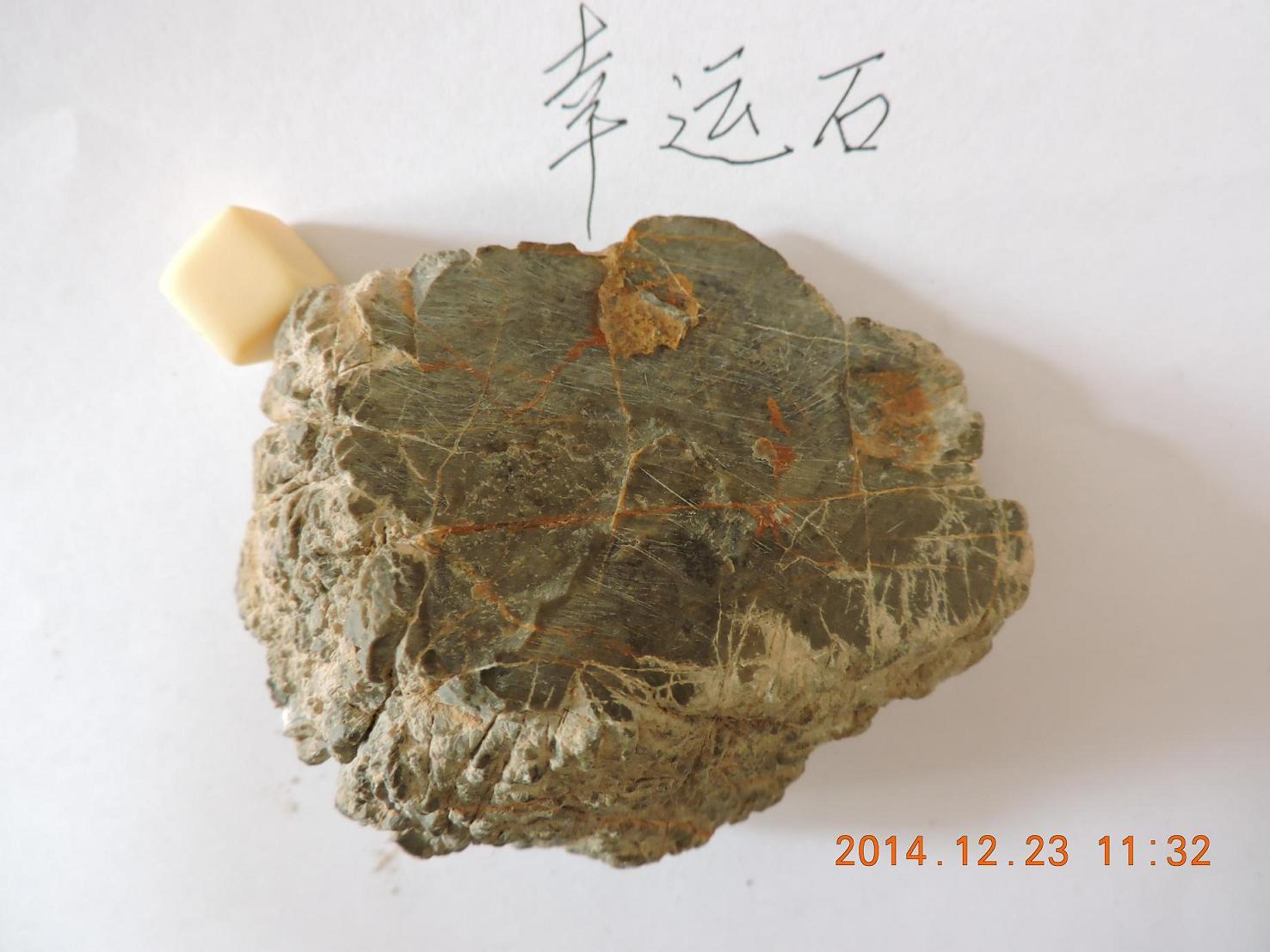 DSCN1289.JPG