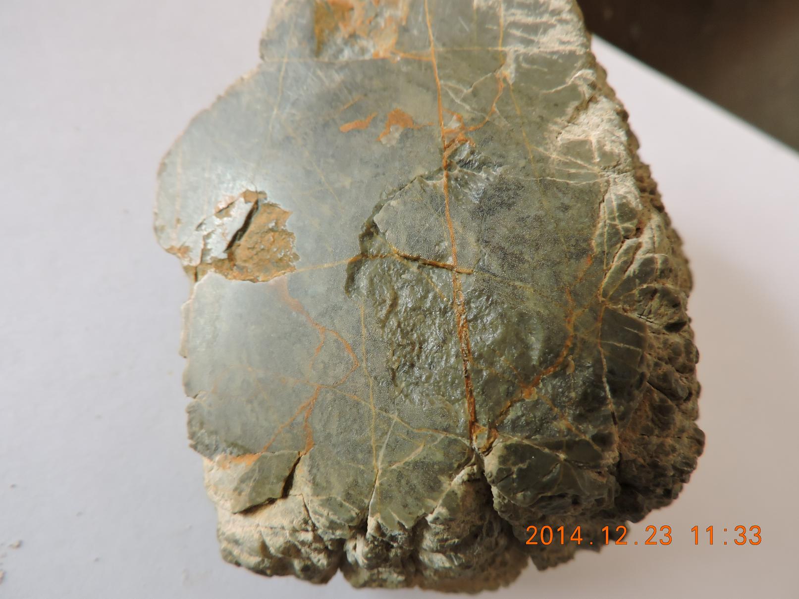 DSCN1291.JPG