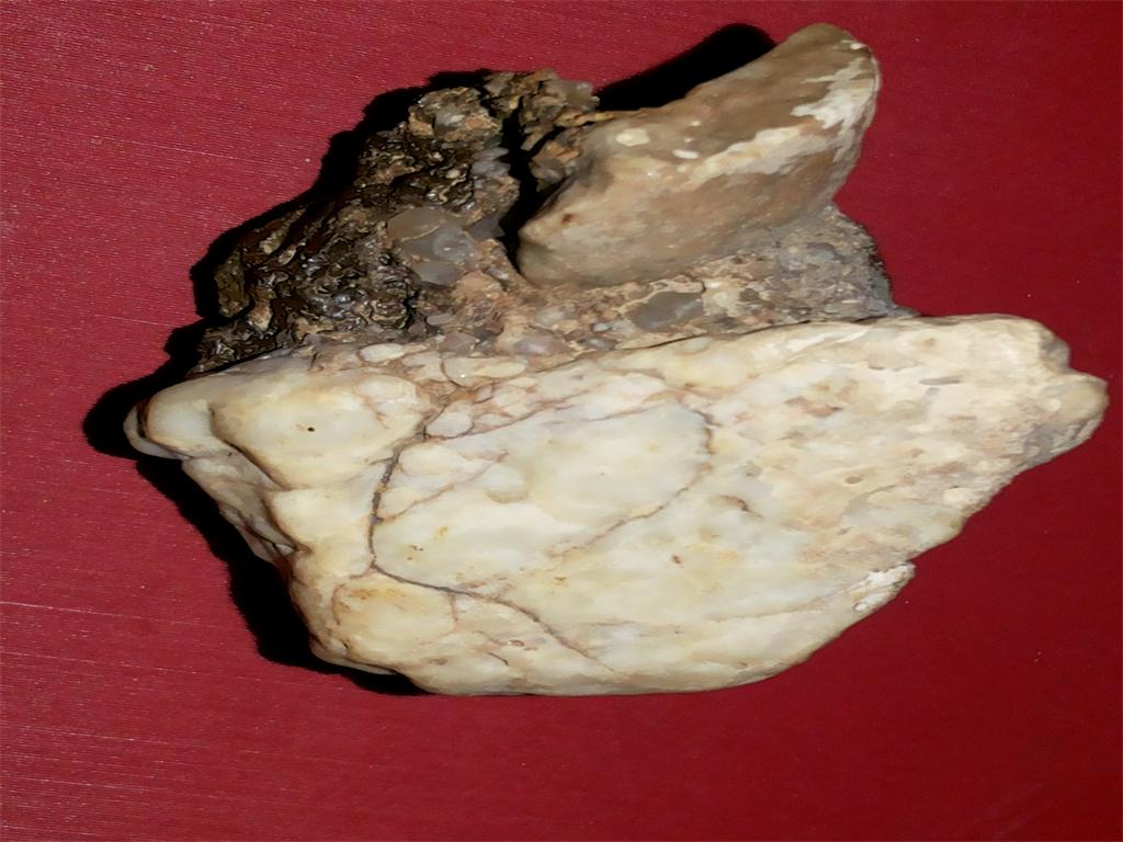 20141119_203538.JPG