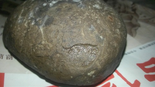 20140428_124605.jpg