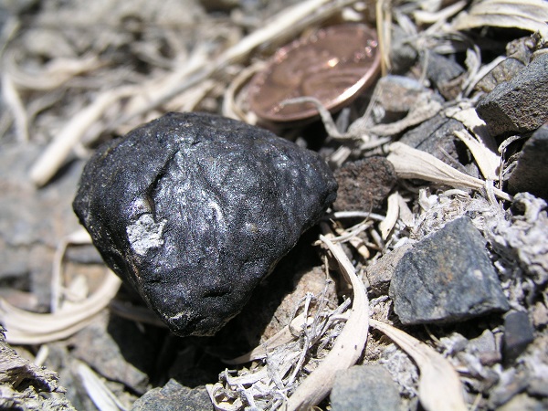 56133_5968.jpg