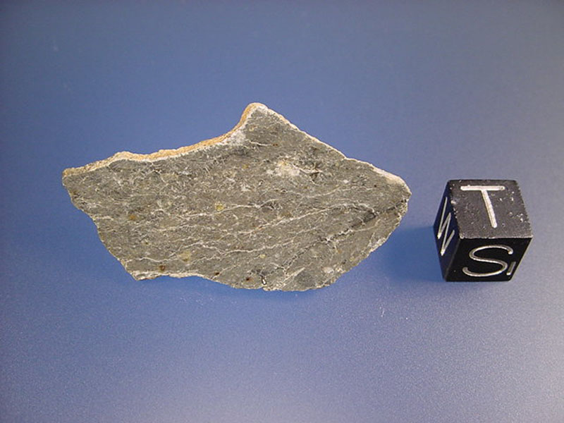 dsc00006.jpg
