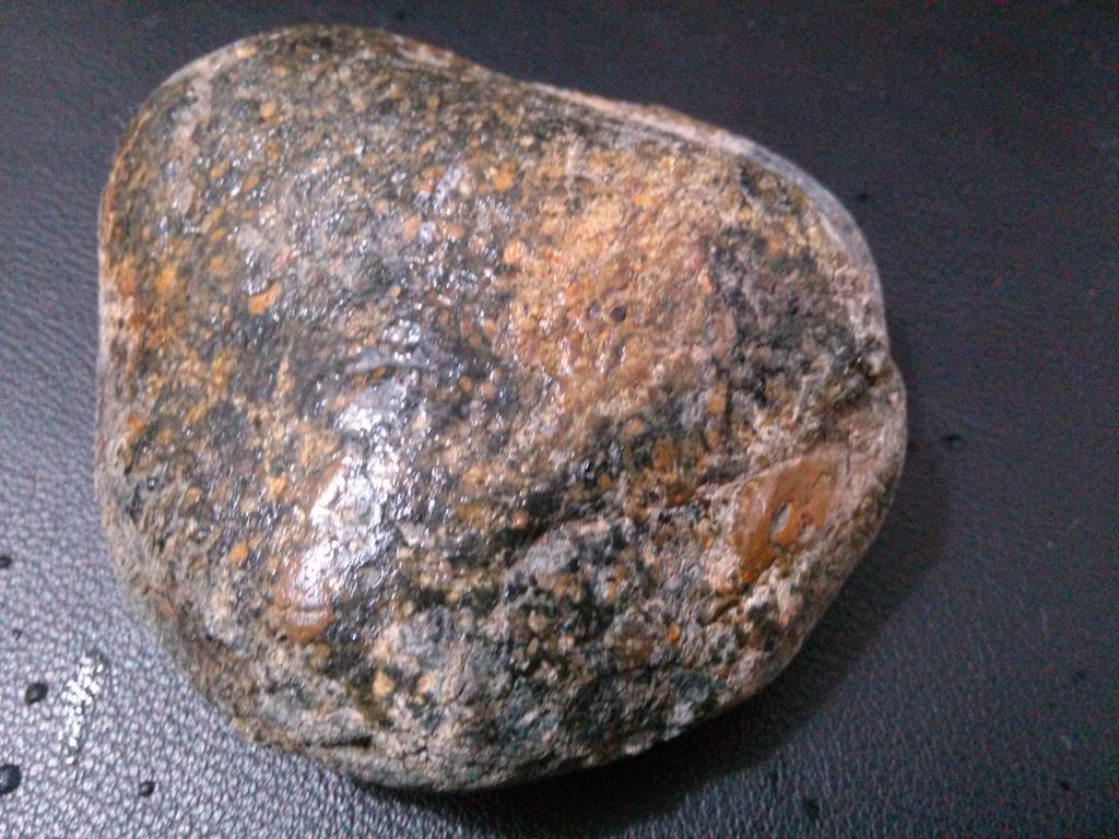 IMG20150110080123.jpg