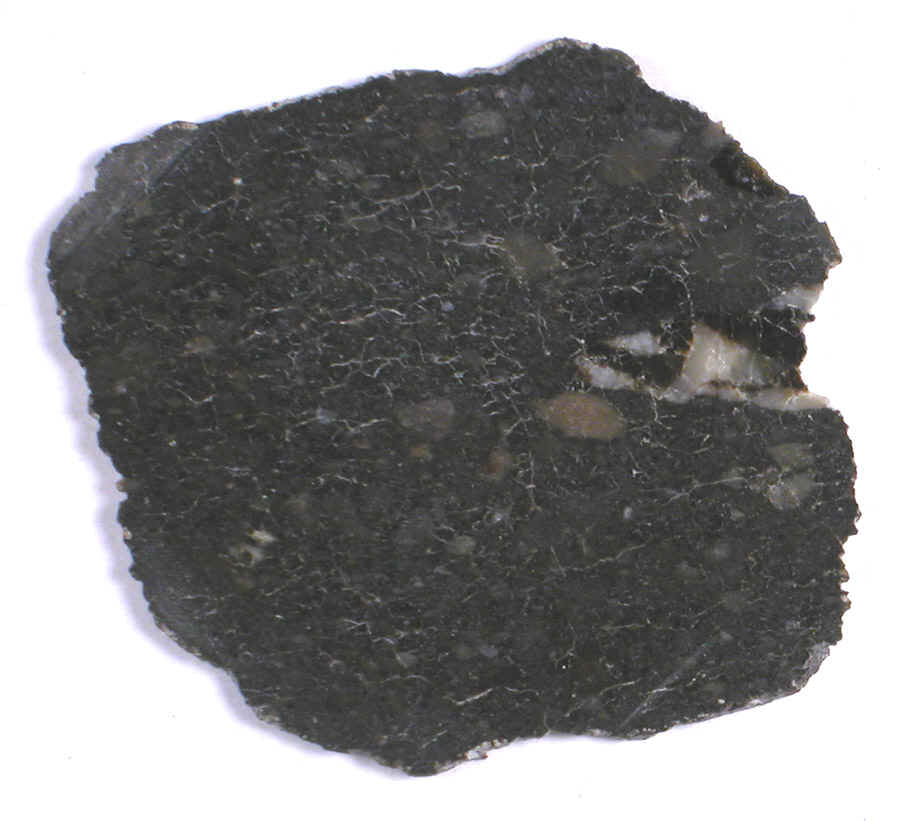 dho11801140b.jpg