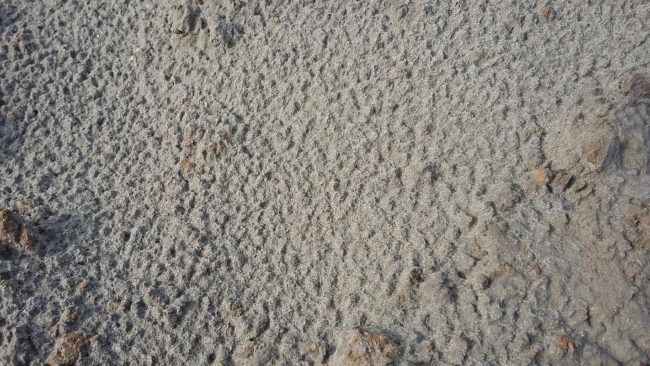 这是一种极为细粒均匀的沙子