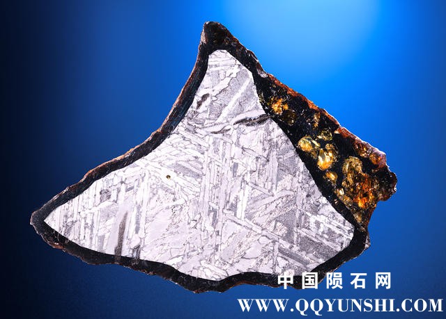 176 x 129 x 3mm 284.1 grams.jpg