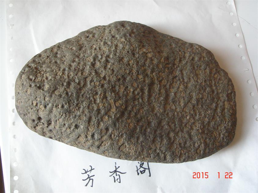 DSC08985.JPG