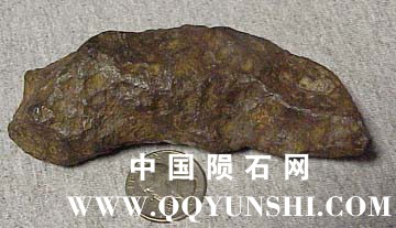 chinga462-6a.JPG