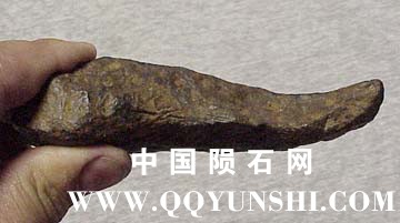 chinga462-6c.JPG