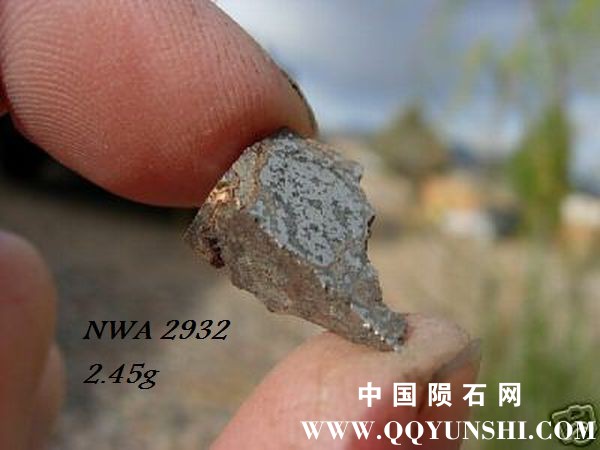 nwa2932.jpg