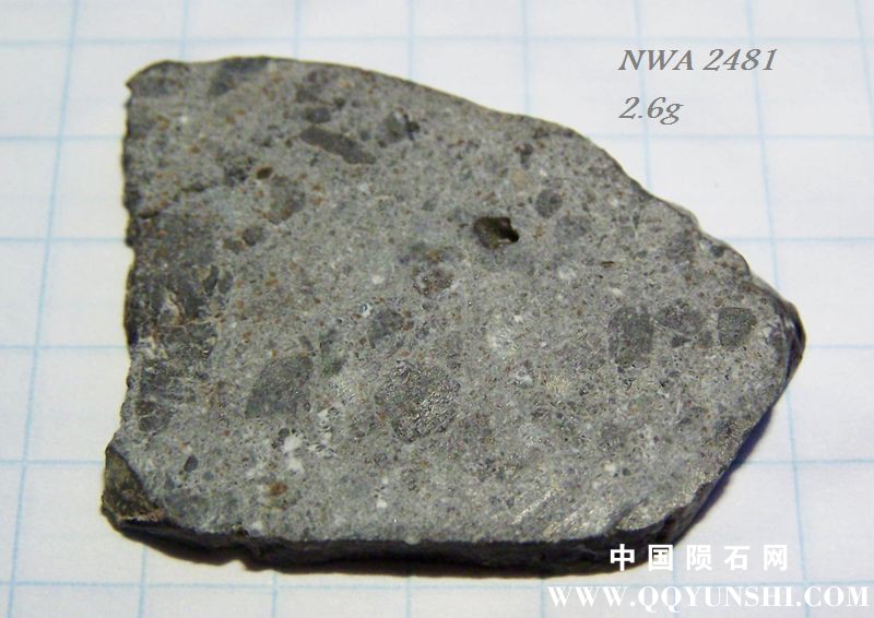 nwa2481.jpg